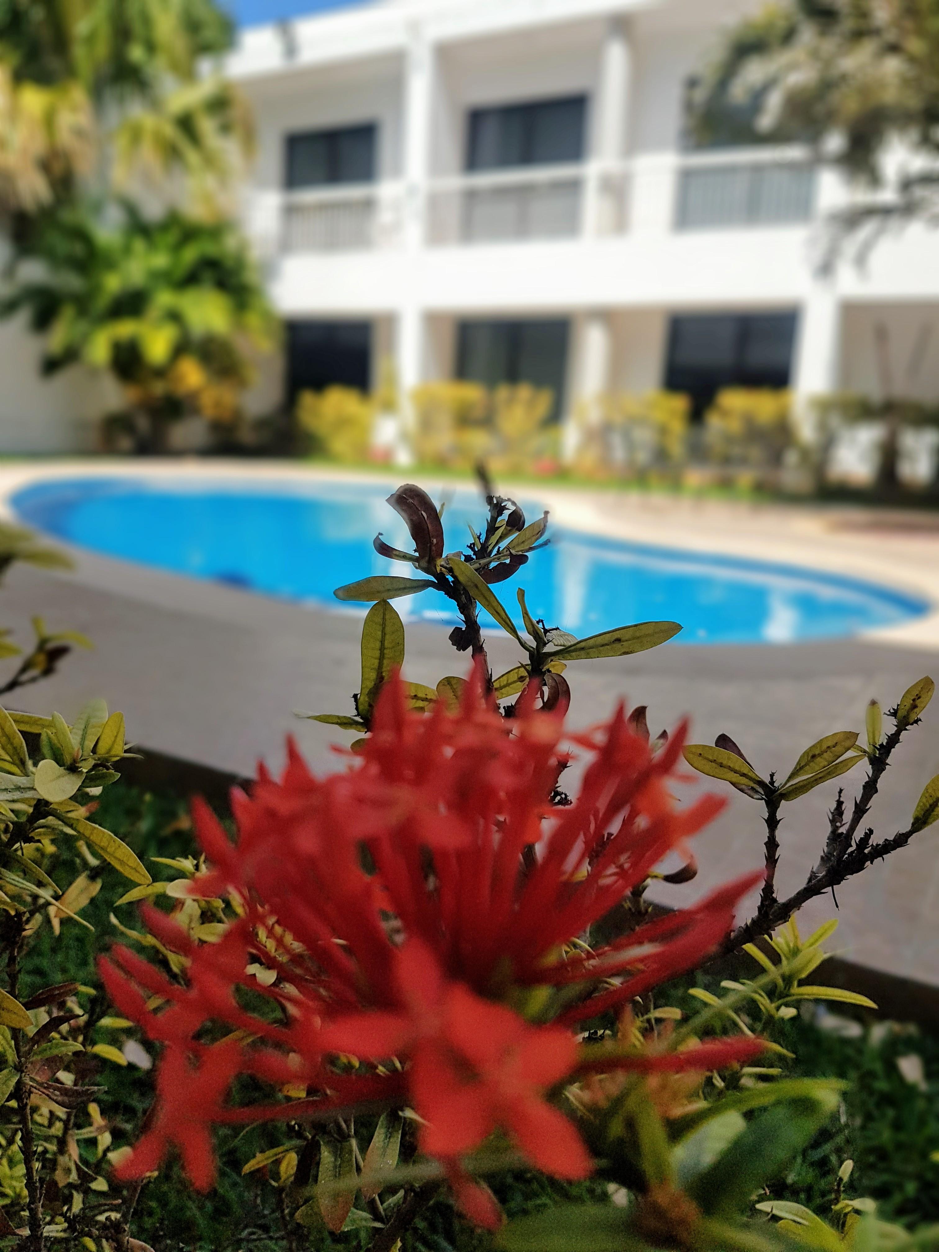 Hotel Holly Mérida Buitenkant foto